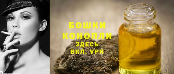 мдпв Вязники