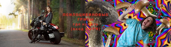 молекула духа Волоколамск