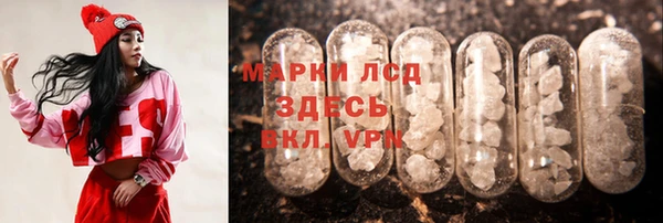ECSTASY Вяземский