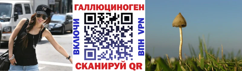 купить закладку Тбилисская ОМГ ОМГ маркетплейс даркнет телеграм Псилоцибиновые грибы GOLDEN TEACHER